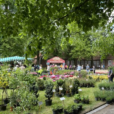 Bild vergr&ouml;&szlig;ern: Aussteller beim Fr&uuml;hlingsmarkt im Schlosspark