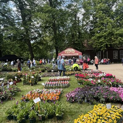 Bild vergr&ouml;&szlig;ern: Aussteller beim Fr&uuml;hlingsmarkt im Schlosspark